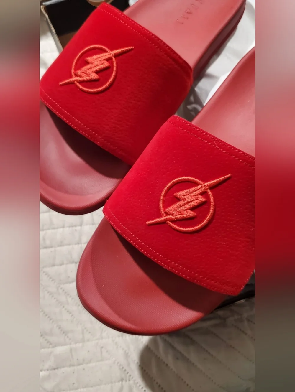 Justice League DC Flash Slides
